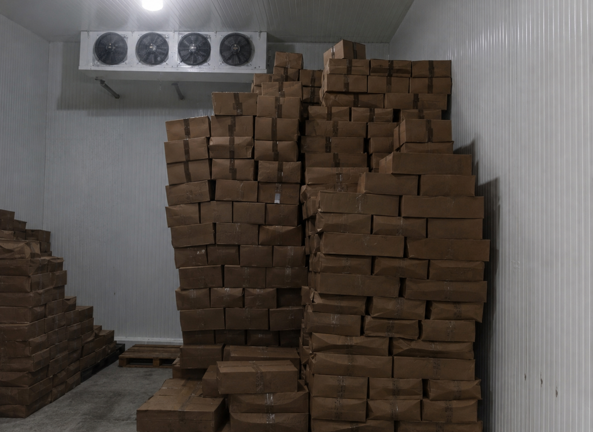 Chambre Froide 5